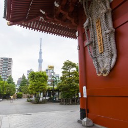 Japan2017 Day4 012