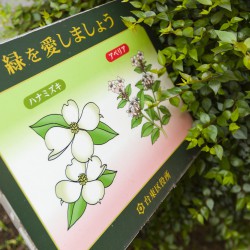 Japan2017 Day4 088