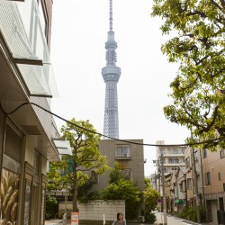 Japan2017 Day4 100