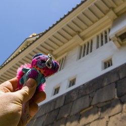 Pochi 026