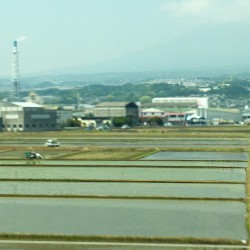 Japan2017 Day8 016